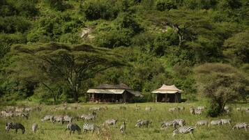 Land view from property