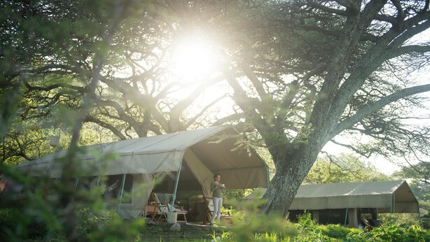 A tented accommodation with a view of a large tree and surrounding greenery. - Esirai Mobile Migration Camp (Serengeti)