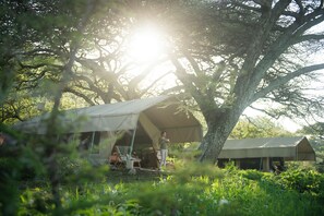 A tented accommodation with a view of a large tree and surrounding greenery. - Esirai Mobile Migration Camp (Serengeti)