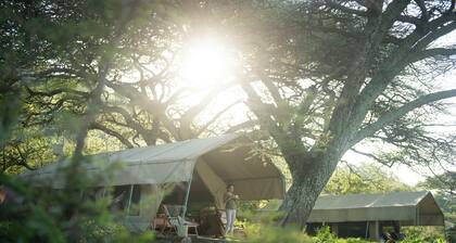 Esirai Mobile Migration Camp