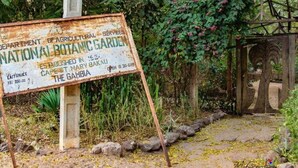 Un panneau indiquant l’entrée du Jardin botanique national de Gambie, fondé en 1956, avec un droit d’entrée de 50,00 DZD.