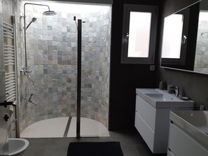 Shower, hair dryer, bidet, towels