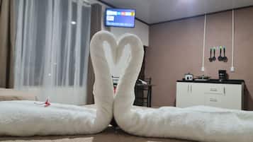 1 slaapkamer, wifi, beddengoed