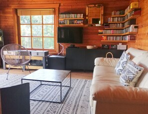 Cheminée, lecteur de DVD