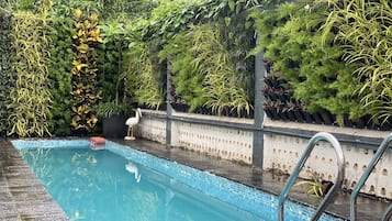 泳池