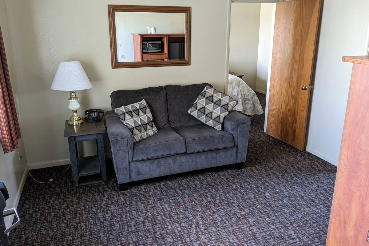 A grey sofa with patterned cushions, a small table with a lamp, and a microwave in a wooden cabinet.