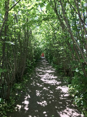 Terrain de l’hébergement 