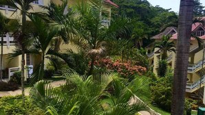 A hotel with multiple buildings, lush greenery, and palm trees. - Endless Summer Brookside (Ocho Rios)