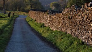 A narrow rural road flanked by stone walls and greenery.