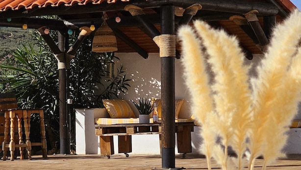 Un espace aménagé au bord de la piscine, avec des chaises longues, un verre de jus d’orange, des herbes des pampas et une vue sur un bâtiment doté d’un toit en tuiles.