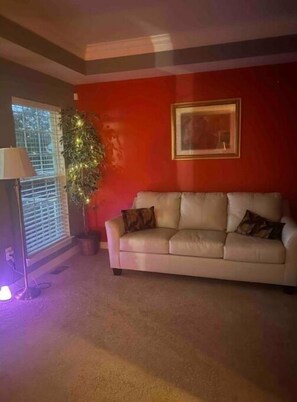 智能電視、壁爐、電子遊戲、DVD 播放機