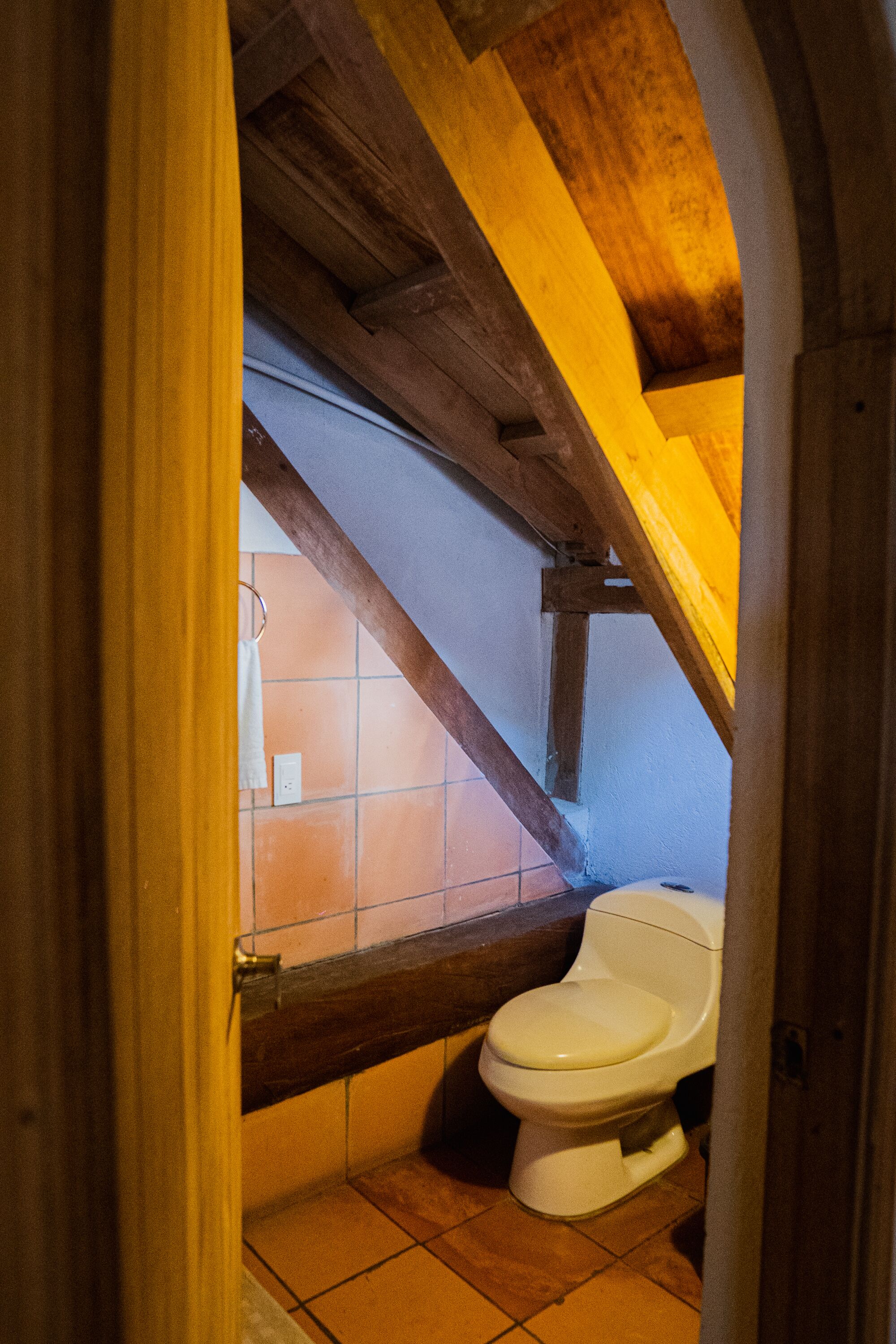 standard penthouse | bathroom | shower, rainfall showerhead, hair dryer, heated floors