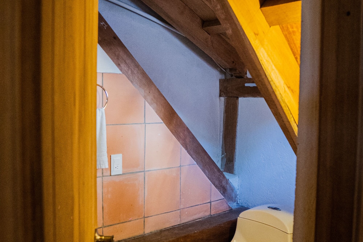 standard penthouse | bathroom | shower, rainfall showerhead, hair dryer, heated floors