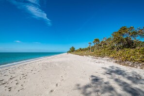 Sun loungers, beach towels