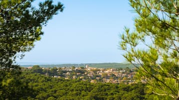 Un pueblo ubicado en un valle, con abundante vegetación y edificios al fondo.