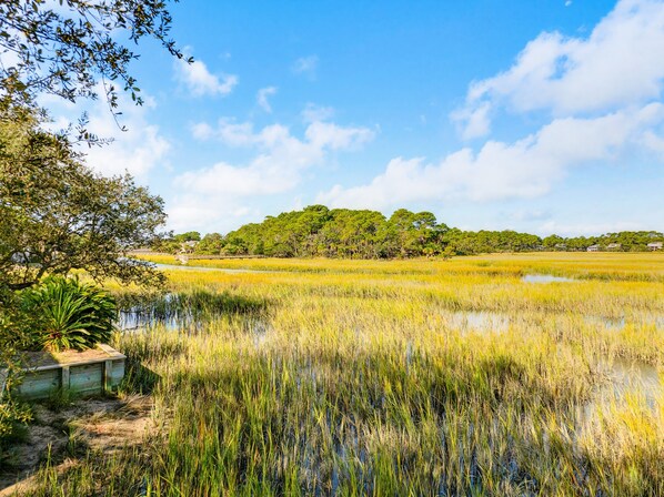 A natural landscape with a water body, trees, and a distant hill.