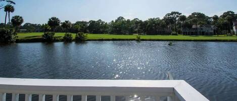 Terrain de lâhĂ©bergement