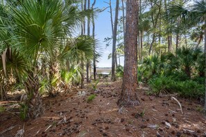 Property grounds - 823 Bonito Road - New to VRBO! Resort Access Included! (Fripp Island)