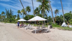 A beach with white umbrellas, lounge chairs, and palm trees. - Flat Eco Resort Praia dos Carneiros (Tamandaré)