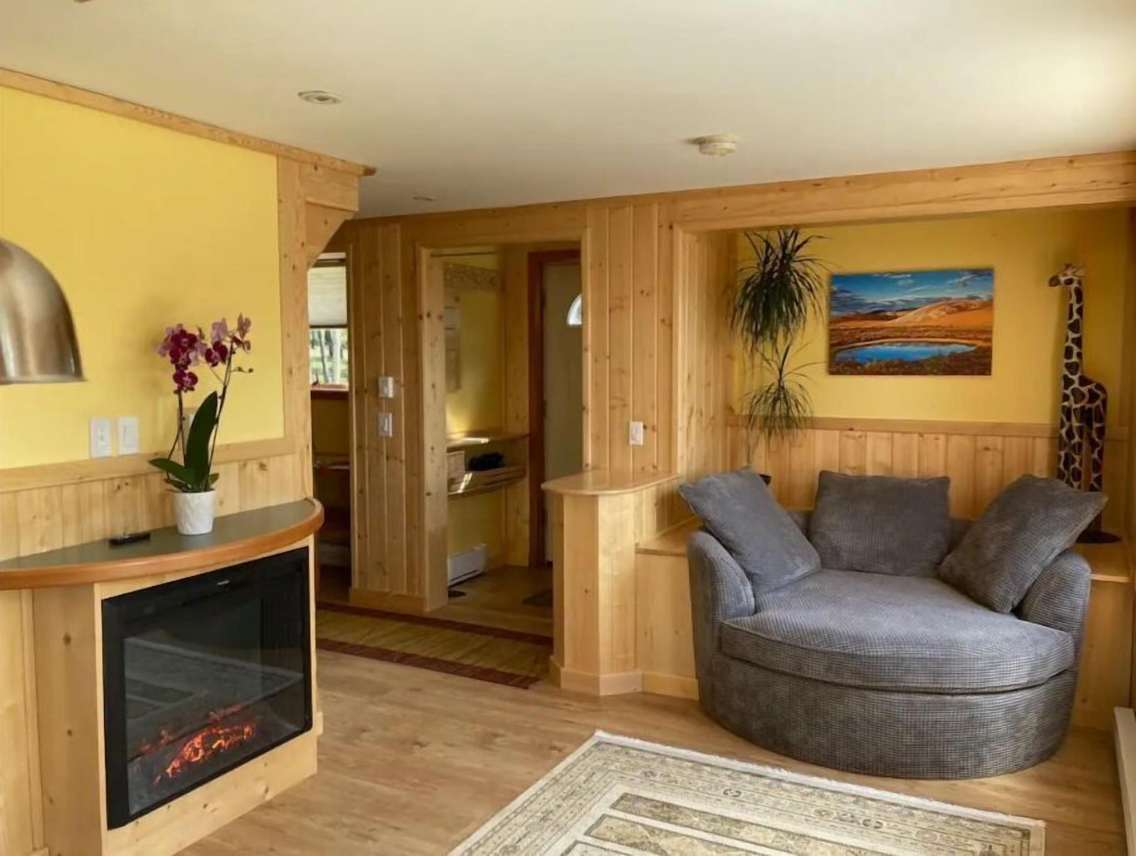 TV, fireplace, DVD player, books