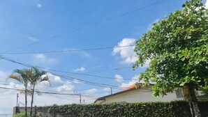 A residential area with a house, a hedge, and a palm tree.
