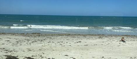 Playa