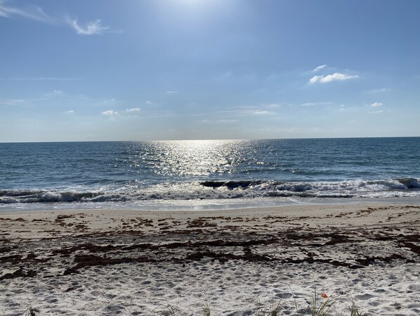 Beach - Beautiful gem by the sea!!!! Available April through December! Monthly rental (Vero Beach)