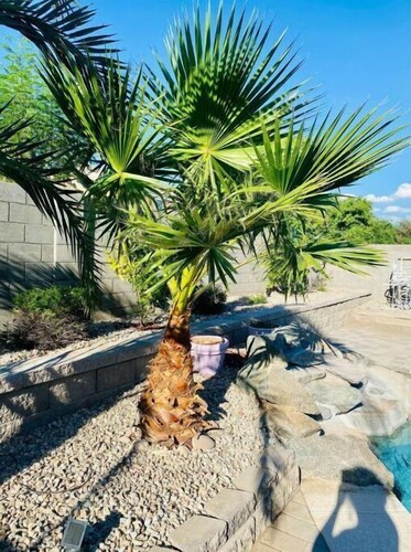 Peaceful Desert Home, close to State Farm Stadium