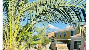 A swimming pool surrounded by palm trees and a building with a tiled roof.