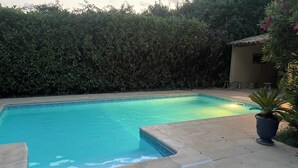 A rectangular swimming pool with a tiled edge, surrounded by a hedge and a potted plant.