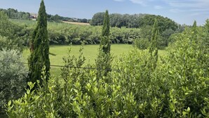 A lush green landscape with tall cypress trees and dense shrubbery.