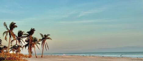 Beach nearby, beach towels