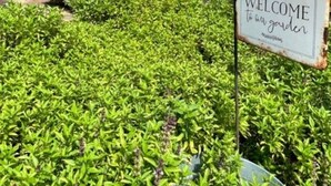 Una casa con porche, un letrero de bienvenida y un jardín bien cuidado.