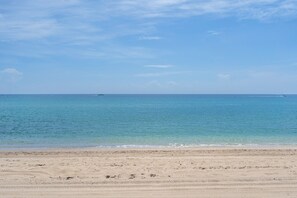 Beach - Palm Beach Little Gem (Palm Beach)