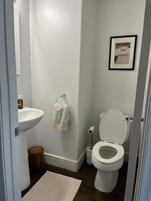 Shower, hair dryer, towels, toilet paper