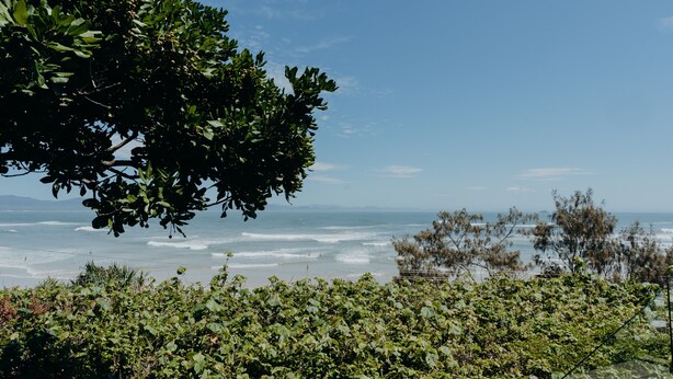 A coastal landscape with dense foliage in the foreground and a view of the ocean. - White House (Byron Bay)