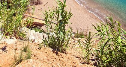 Apartment In A Hotel 'with Sea View-Creta' with Sea View, Wi-Fi and Air Conditioning