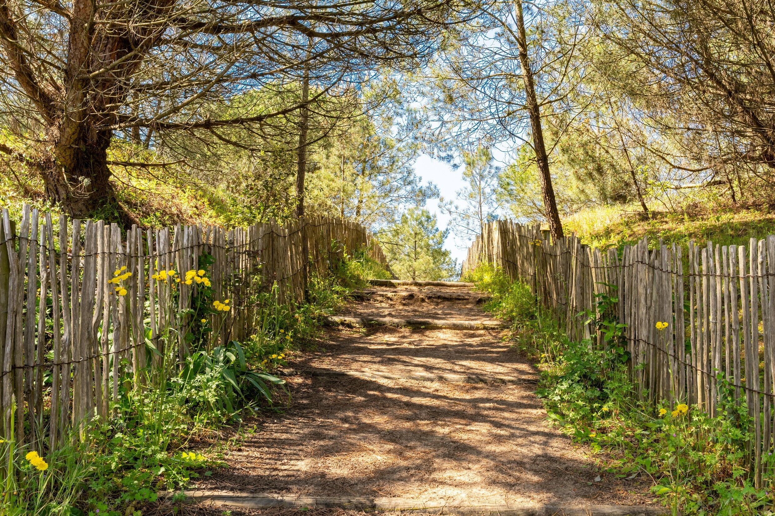 Parco della struttura