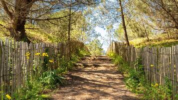 Parco della struttura