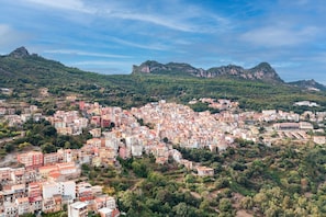A densely packed urban area with buildings and a mountainous backdrop.