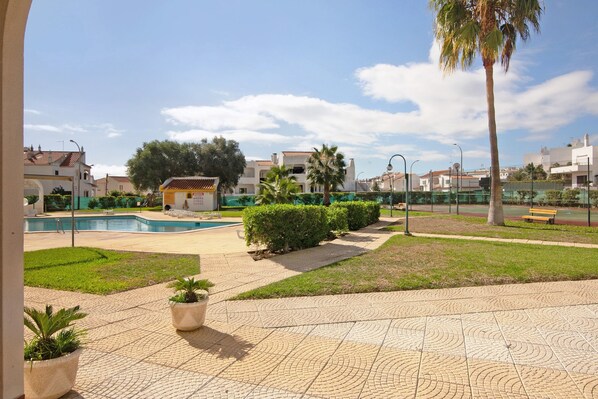 A courtyard with a swimming pool, palm trees, and a paved walkway.