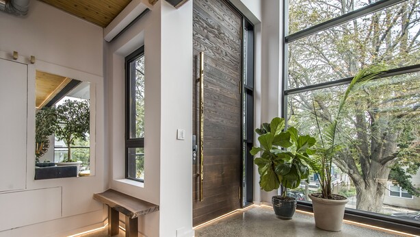 A modern interior with a bench, large windows, and potted plants.
