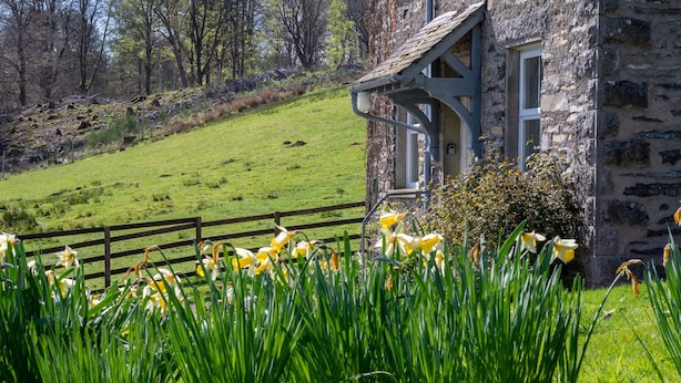 A stone building with a wooden fence and daffodils in the foreground. - Eel House Cottage - sleeps 4 guests  in 2 bedrooms (Graythwaite)