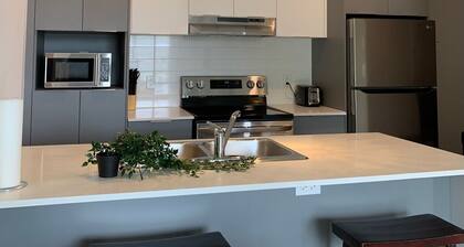 Beautiful 1 br new condo with indoor pool and gym