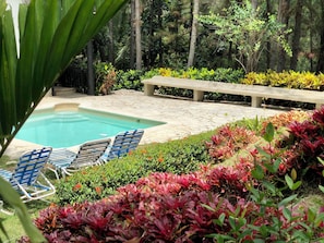 Outdoor pool, a heated pool - 4-bedroom country house in fabulous Hato Damas with WiFi, AC (Hato Damas)