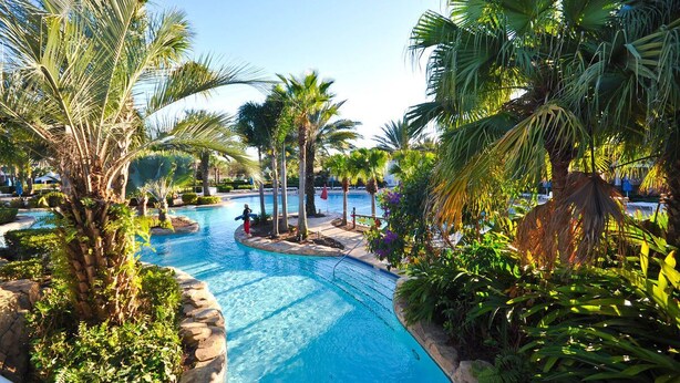 Una piscina rodeada de palmeras y exuberante vegetación.
