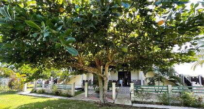Almond Palm Apartment