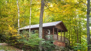 Una cabaña de troncos con porche, rodeada de un bosque denso y follaje otoñal.