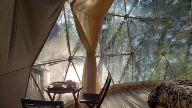 Ein Zelt mit rundem Tisch und zwei Stühlen, einem Bett mit gemustertem Überwurf und Blick auf Bäume durch die Maschenwände des Zeltes.