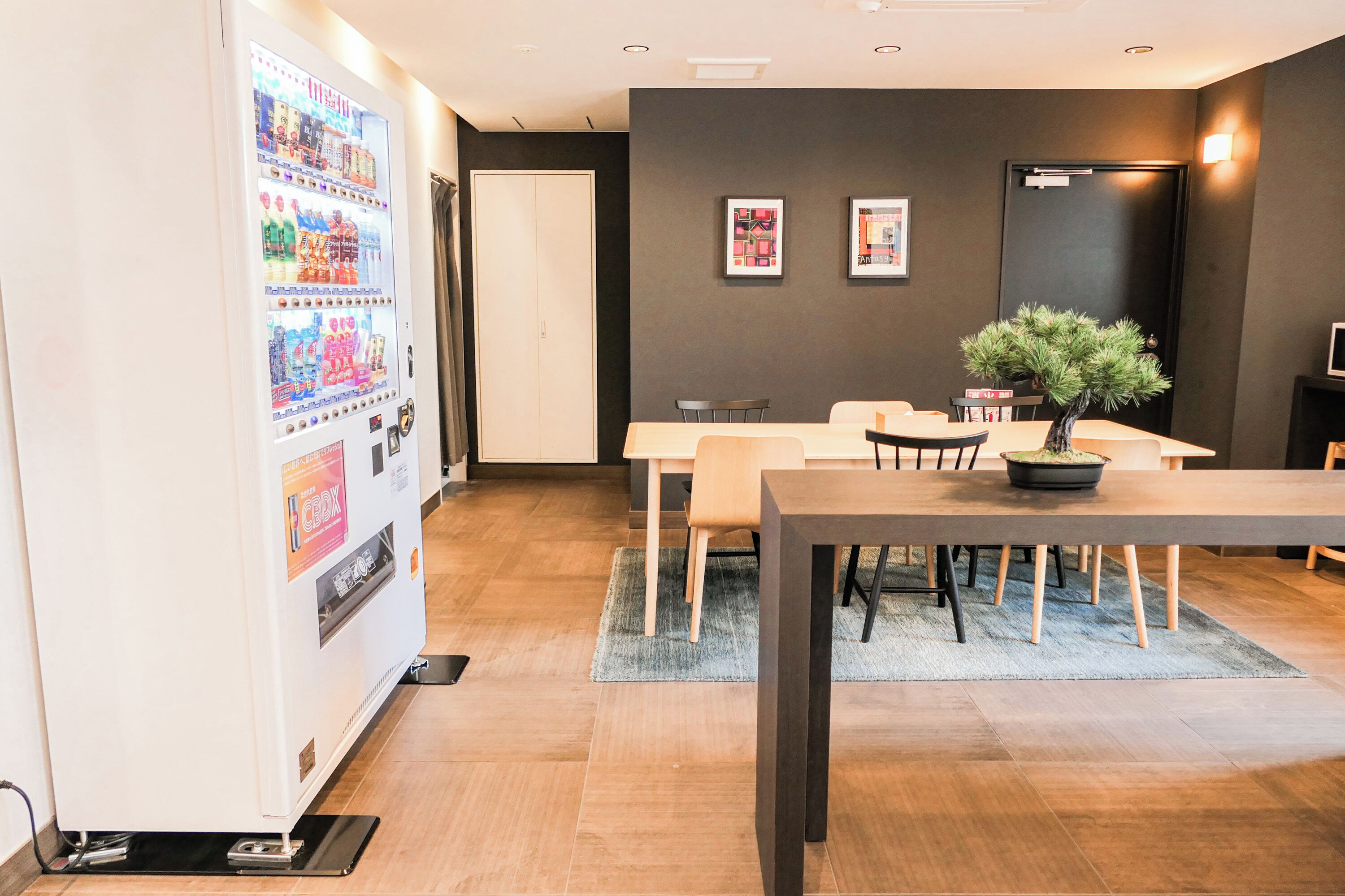 Foto - WAYFARER Matsu